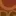 Cushmandesign.com Favicon