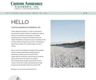 Customassurance.com(Custom Assurance Placements) Screenshot