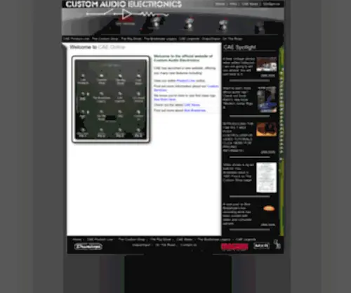 Customaudioelectronics.com(CAE Online) Screenshot