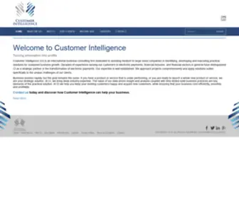 Customerintelligenceinc.com(Customer Intelligence) Screenshot