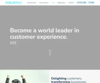Customermonitor.com(Delight customers and transform your business with our customer experience (CX)) Screenshot