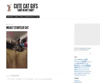 Cutecatgifs.com(CUTE CAT GIFS) Screenshot