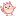 Cutedaily.com Favicon