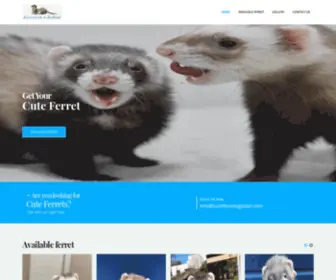 CuteferretsGlobal.com(Cuteferrets) Screenshot