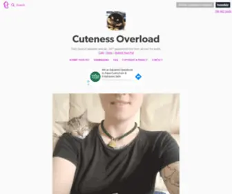 Cuteness-Overload.com(Cute Overload) Screenshot