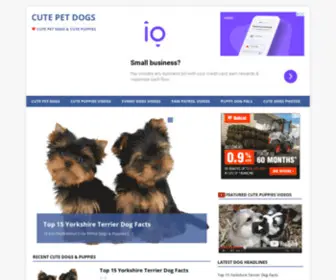 Cutepetdogs.com(Cute Pet Dogs & Cute Puppies) Screenshot