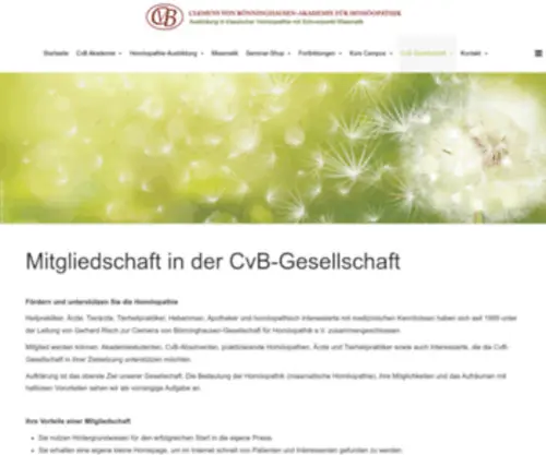 CVB-Gesellschaft.de(Homöopathie Ausbildung CvB Akademie) Screenshot