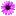 Cveta.co.rs Favicon