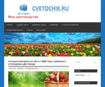 Cvetochik.ru(Cvetochik) Screenshot