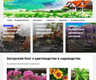 CvetutcVety.ru(Блог Руслана Чурилова) Screenshot