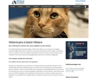 Cvmontagne.com(Vétérinaire à Saint) Screenshot