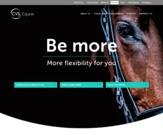 CVS-Equine.com(Industry leading equine veterinary services) Screenshot