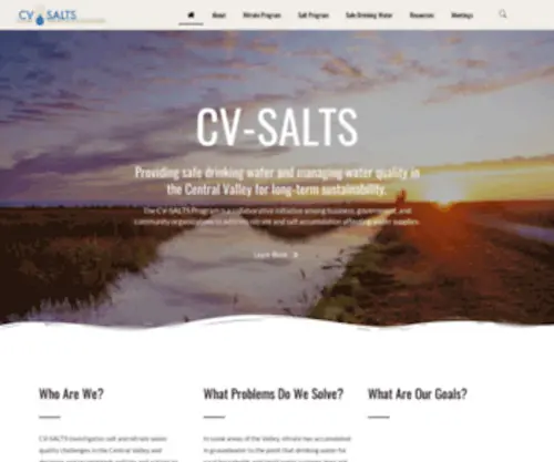 Cvsalinity.org(The CV) Screenshot