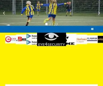 CVvberkel.nl(C.V.V) Screenshot