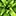 Cwaesthetics.com Favicon