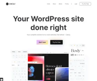 Cwicly.com(Professional Site Builder for WordPress) Screenshot
