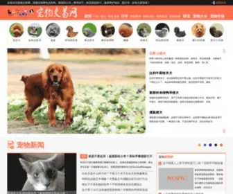 CWJY.org(CWJY) Screenshot