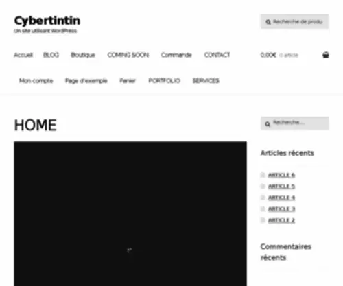 Cybertintin.com(Cybertintin) Screenshot