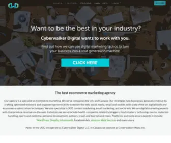 Cyberwalkerdigital.com(Best web marketing agency in Tampa) Screenshot