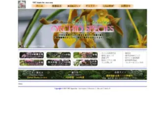 Cyberwildorchid.com(胡蝶蘭) Screenshot