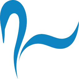 CYgnuspay.com Logo