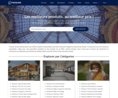 Cynosura.eu(Avis et comparaison des produits de qualité 2021) Screenshot