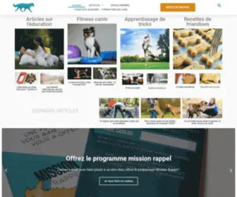 Cynotopia.fr(Cynotopiaarticles) Screenshot