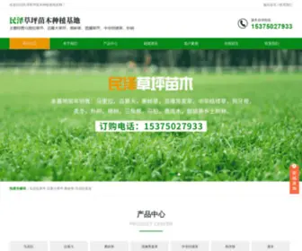 CZBMDCP.com(马尼拉草坪) Screenshot