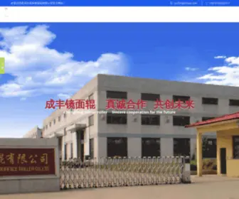 CZchengfeng.cn(常州市成丰镜面辊有限公司) Screenshot