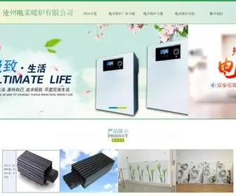 CZDCNL.com(沧州电采暖炉有限公司) Screenshot