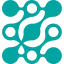 Czimaginginstitute.org Logo