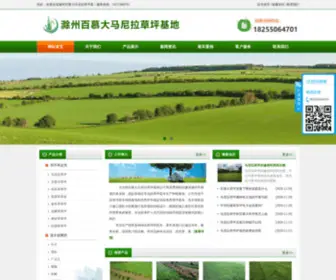CZLHCP.com(百慕大草坪) Screenshot