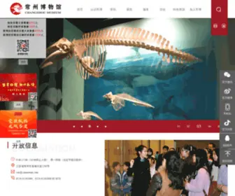 Czmuseum.com(常州博物馆) Screenshot