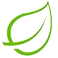 CZYstapolska.pl Favicon