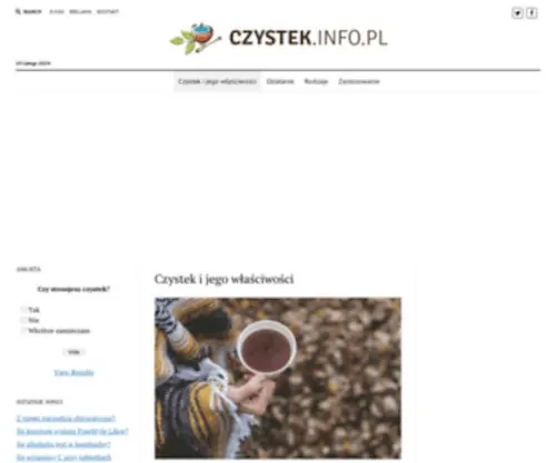 CZYstek.info.pl(CZYstek) Screenshot