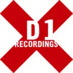 D1.ie Logo