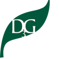 D3G.com Logo