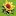 DA-Costa-Gartenbau.ch Favicon