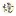 DA-Liang.com Favicon