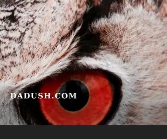 Dadush.com(Dadush) Screenshot