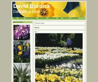 Daffodilsandmore.com(David burdick) Screenshot