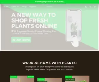 Dahingplants.com(Quality Houseplants) Screenshot