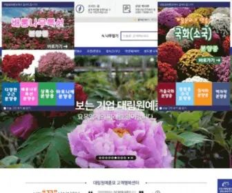 Dailimseed.co.kr(대림원예종묘(주)) Screenshot