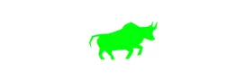 Daillybulls.com Logo