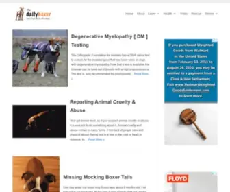 Dailyboxer.com(Daily Boxer) Screenshot