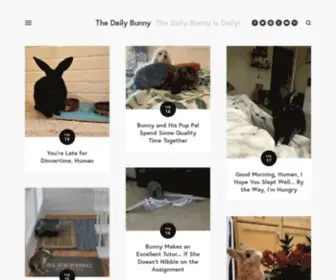 Dailybunny.org(The Daily Bunny) Screenshot