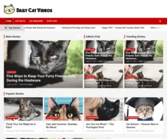 Dailycatvideos.com(Daily Cat Videos) Screenshot