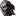 Dailydissident.com Favicon