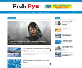 Dailyfisheye.com(Daily Fisheye) Screenshot