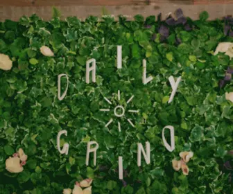 Dailygrindto.ca(Local Brunch & Coffe Shop Cafe) Screenshot